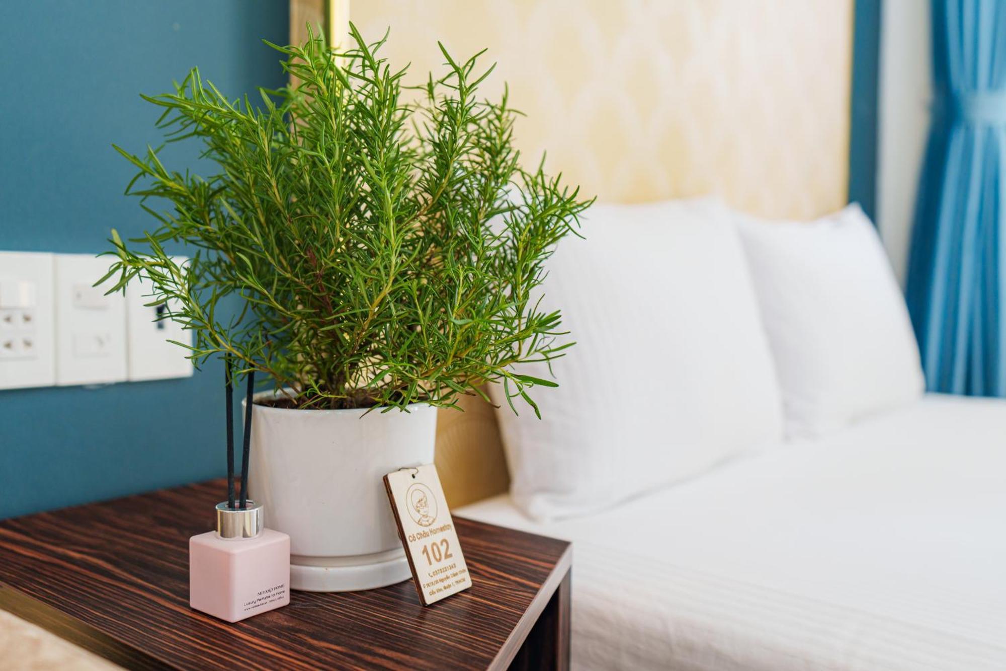Co Chau Homestay TP. Hồ Chí Minh Ngoại thất bức ảnh