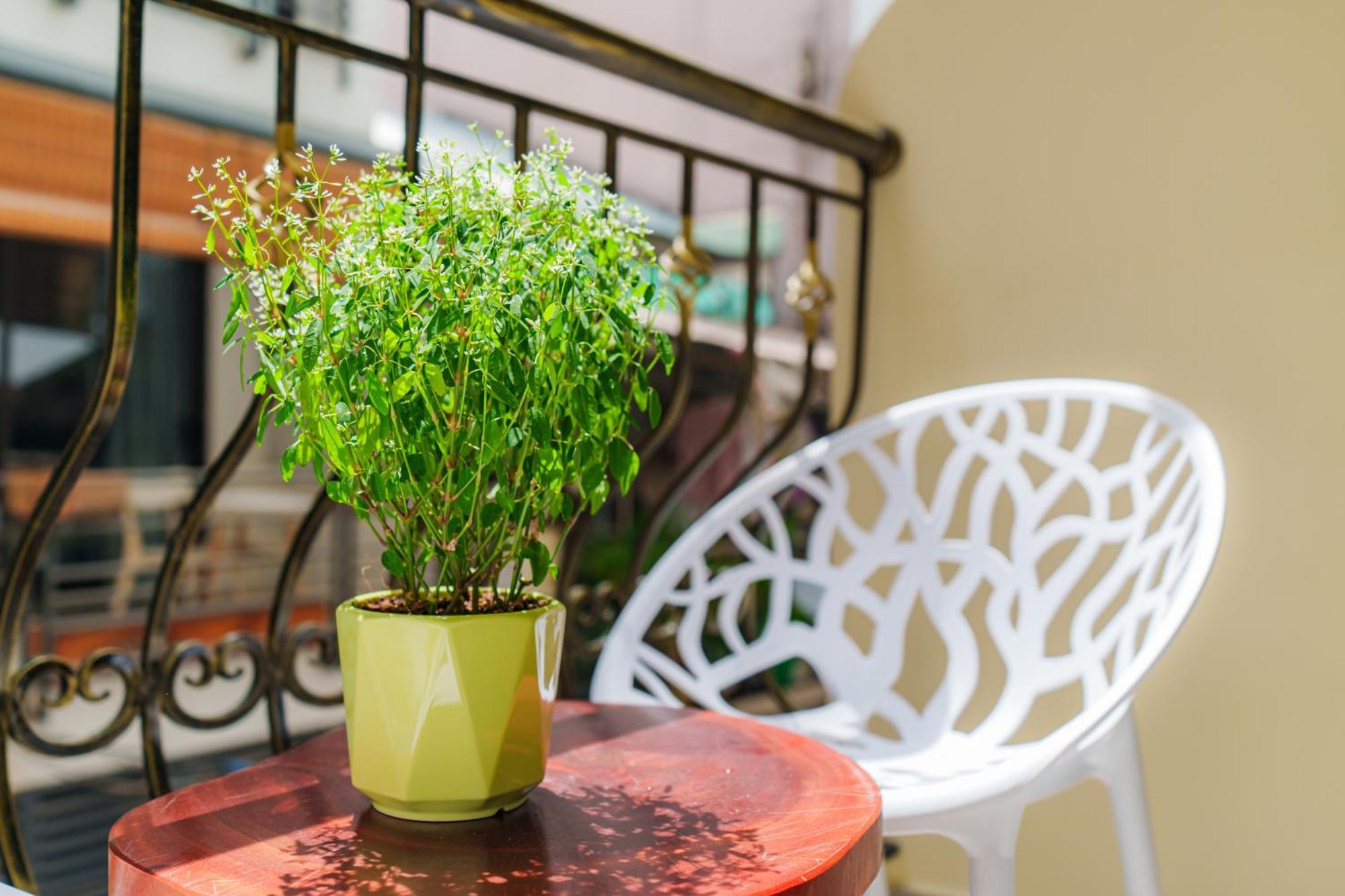 Co Chau Homestay TP. Hồ Chí Minh Ngoại thất bức ảnh